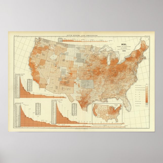 Wolle Poster (Vorne)