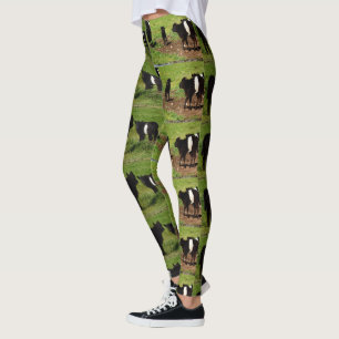 Wolle Schwarz-weiße Galloway Kuh, Leggings