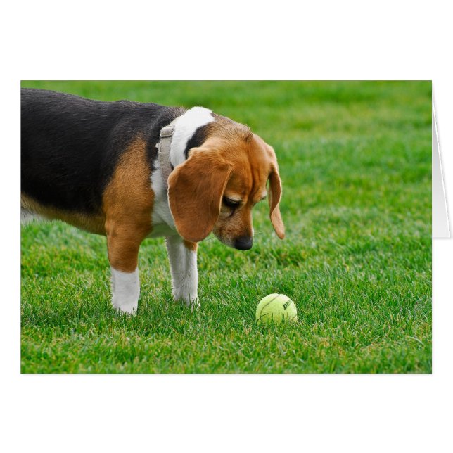 Wollen Sie, um zu spielen? (Vorderseite (Horizontal))