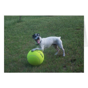 Wollen Sie, um zu spielen?