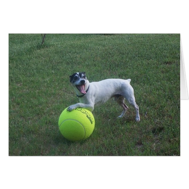 Wollen Sie, um zu spielen? (Vorderseite (Horizontal))