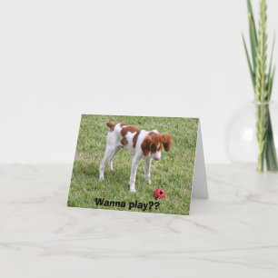 Wollen Sie, um zu spielen?? Karte