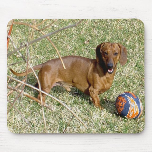 Wollen Sie, um zu spielen? Mousepad (Vorne)