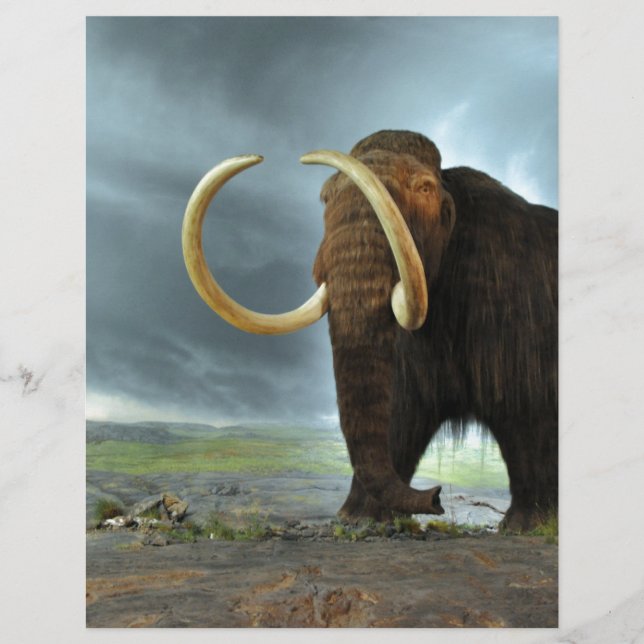 Wolliges Mammut-Mod-Schicksal (Vorderseite)