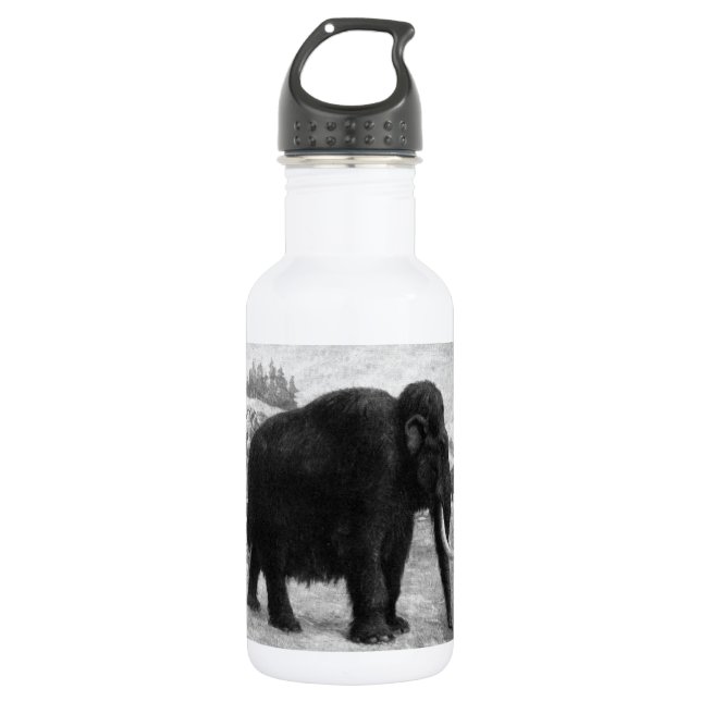 Wolliges Mammut-Mod-Schicksal Edelstahlflasche (Vorderseite)
