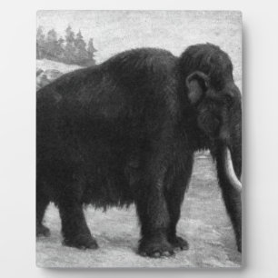 Wolliges Mammut-Mod-Schicksal Fotoplatte