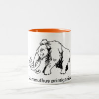 Wolliges Mammut-Tasse (wissenschaftlicher Name)