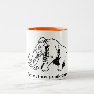 Wolliges Mammut-Tasse (wissenschaftlicher Name) Zweifarbige Tasse