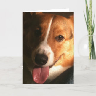 Wolljacken-Walisercorgi-Gruß-Karte Karte