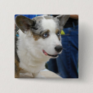 Wolljacken-Walisercorgi-Hundeknopf Button