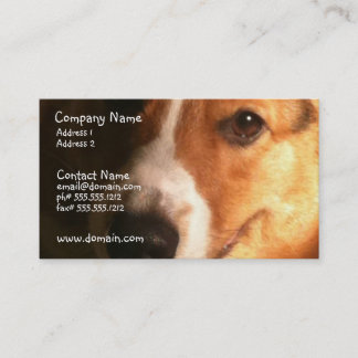Wolljacken-Walisercorgi-HundeVisitenkarte Visitenkarte