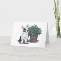 Wolljacken-WaliserCorgi Notecard ~ Blau Merle