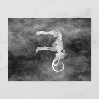 Wollmammut Postkarte