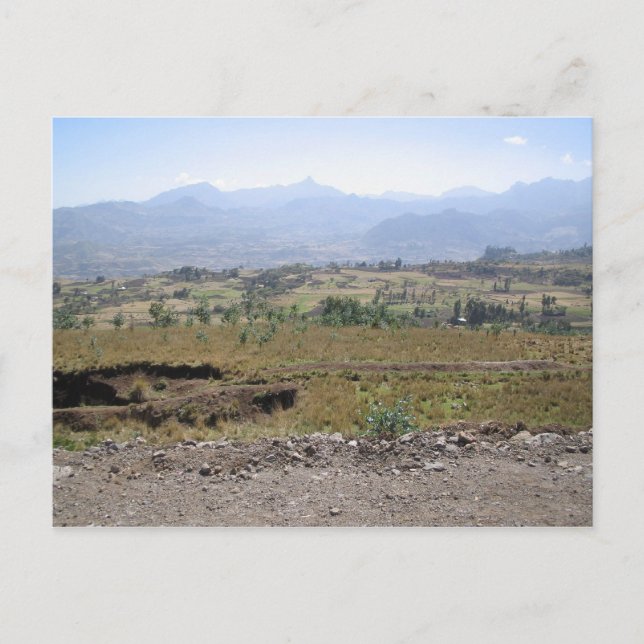 Wollo Postkarte (Vorderseite)