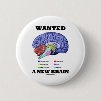 Wollte ein neues Gehirn (anatomische Button