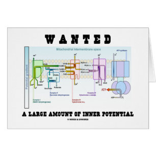 Wollte eine große Menge inneres Potenzial