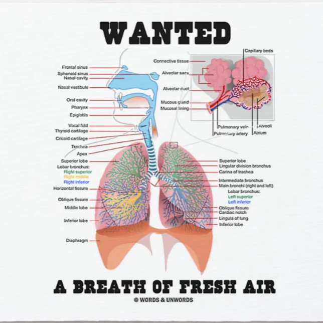 Wollte einen Atemzug mit frischer Luft (Atemsystem Mousepad (Respiratory system attitude mousepad featuring the medical saying: "Wanted A Breath Of Fresh Air")