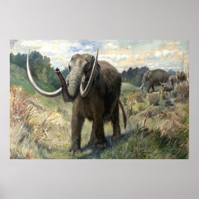 Wolly Mammoth Poster (Vorne)