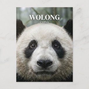 Wolong Nationalnaturreservat China Postkarte