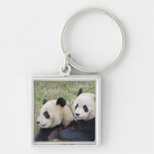 Wolong-Reservat, China, Riesenpanda umarmt Schlüsselanhänger