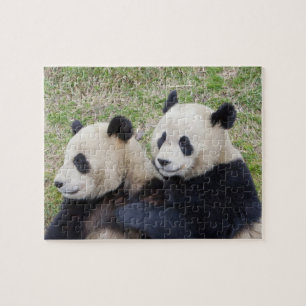 Wolong Reserve, China, Riesenpanda-Umarmung Puzzle