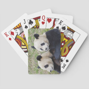 Wolong Reserve, China, Umarmen des riesigen Pandas Spielkarten