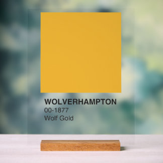 Wolverhampton Wolf Gold - klares Hintergrundwissen Acrylschild