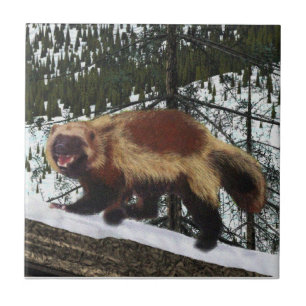 Wolverine Fliese