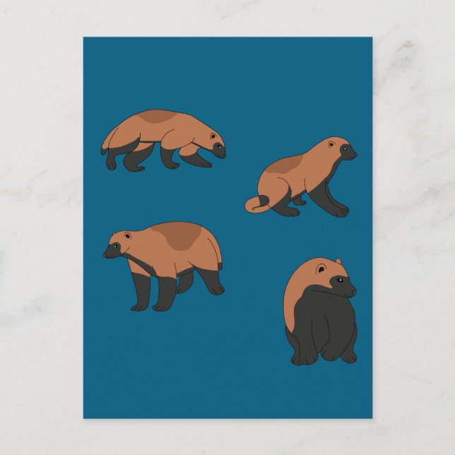 Wolverines Postkarte (Vorderseite)