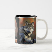 Wolves Gray Wolf Canis Lupis