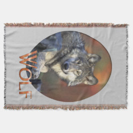 Wolves Gray Wolf Canis_lupus Decke