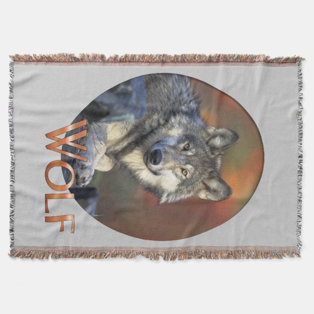 Wolves Gray Wolf Canis_lupus Decke (Vorderseite)