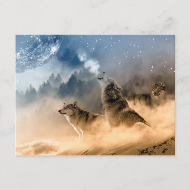 Wolves Moon Fog Naturlandschaft Postkarte (Vorderseite)