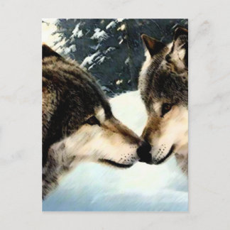 Wolves Wolf Schnee Winterschnee Couple Liebe Postkarte