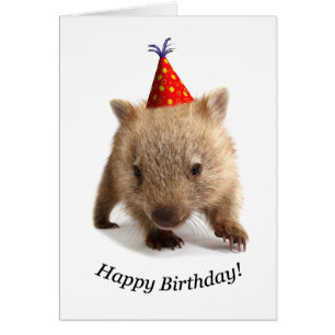 Wombat alles Gute zum Geburtstag