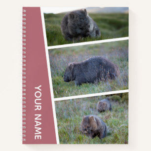 Wombat Australia Foto Collage, Rose Gold Notizbuch