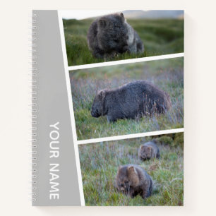 Wombat Australia Foto Collage, Silver Notizbuch