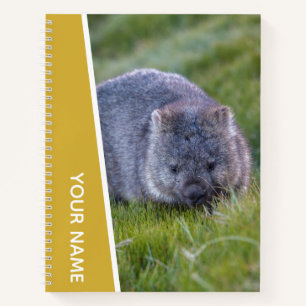 Wombat Australia Süße Tier, Gold Notizbuch