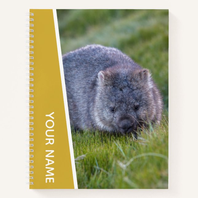 Wombat Australia Süße Tier, Gold Notizbuch (Vorderseite)