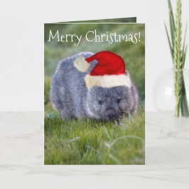 Wombat Australien Rote Weihnachtsmannmütze Frohe W Karte