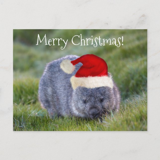 Wombat Australien Rote Weihnachtsmannmütze Frohe W Postkarte (Vorderseite)