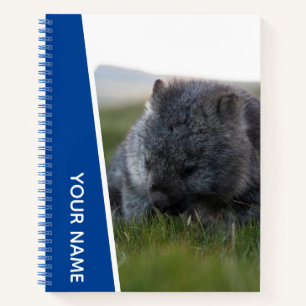 Wombat Australien Süßes Tier Gras essend, Blau Notizbuch
