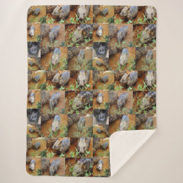 Wombat-FotoCollage, Sherpadecke