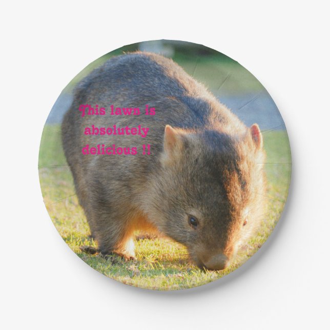 Wombat Funny Niedlich Australian Nature Fotografie Pappteller (Vorderseite)