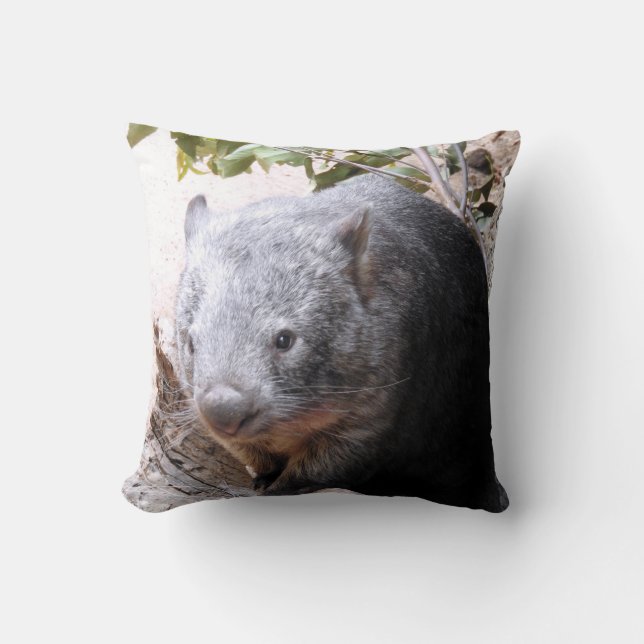 Wombat Kissen (Vorderseite)