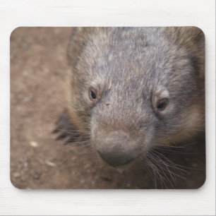 Wombat Kuss Mousepad
