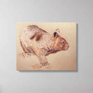 Wombat Leinwanddruck