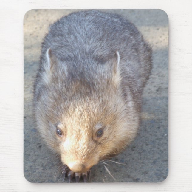 Wombat Mousepad (Vorne)