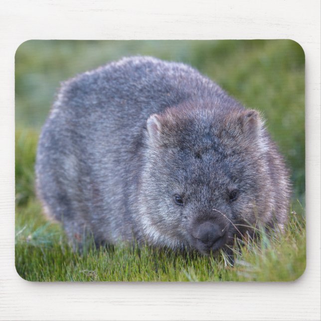 Wombat Mousepad (Vorne)