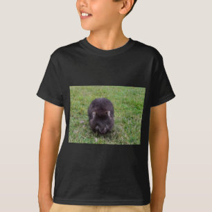 WOMBAT TASMANIEN AUSTRALIEN T-Shirt